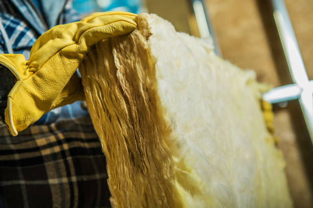Best Cellulose Insulation in Swartz, LA
